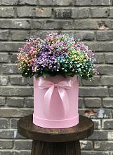 Цветочная композиция из Гипсофила и Розы в шляпной коробке в Парусном