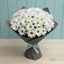 Букет цветов из:  Хризантемы в Парусном