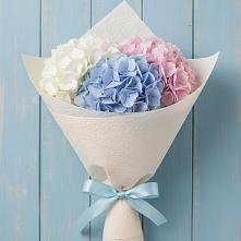 Букет цветов из:  Гортензия в Парусном