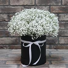 Цветочная композиция из Гипсофила в шляпной коробке в Парусном