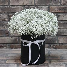 Цветочная композиция из Гипсофила в шляпной коробке в Парусном