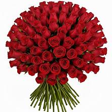 Букет Красные розы Чери Лав #REPLACE_PRED# Парусном