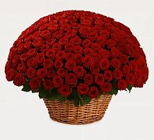 Премиум букет из: Розы в Парусном