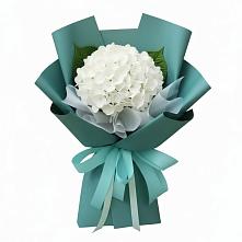 Букет цветов из:  Гортензия в Парусном